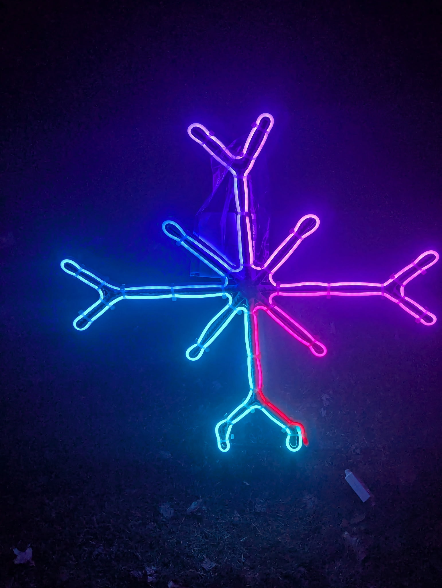 Medium Snowflake Night View